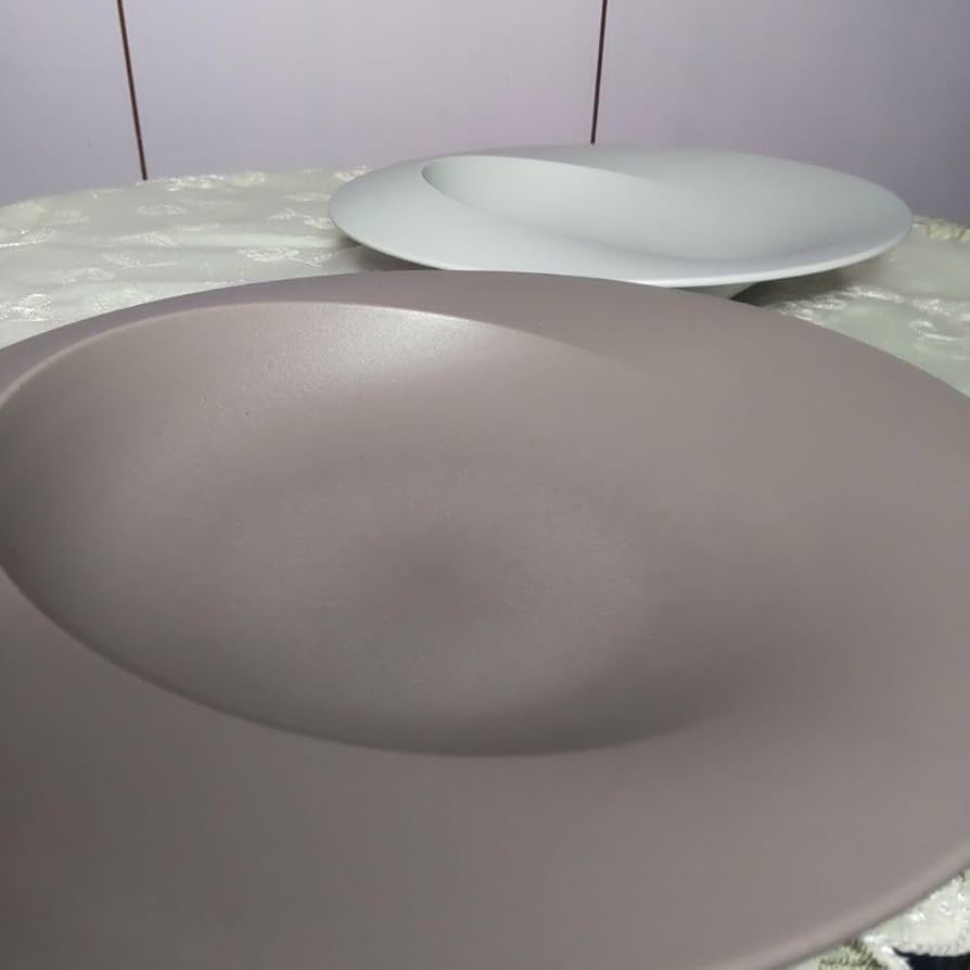 aras エイラス カレー皿 ARAS 深皿 スクープ 2枚 プレート ペア Amazon | ノーブランド品 arasエイラスカレー皿ARAS深皿スクープ